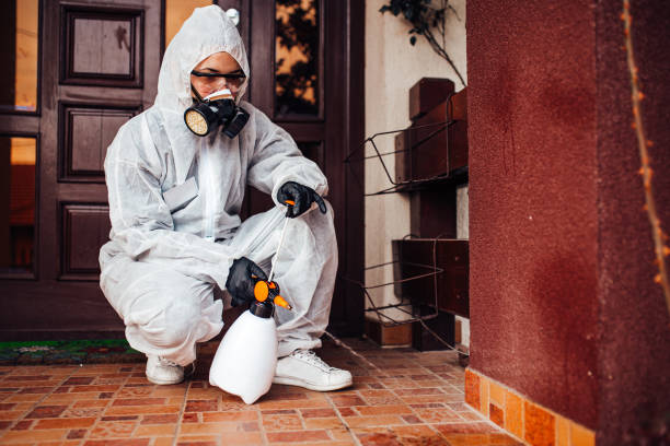Reliable Bed Bug Control contractor in Zephyrhills, FL by Nex Pest Control